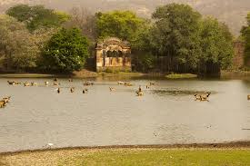 Ranthambore national tiger park India]