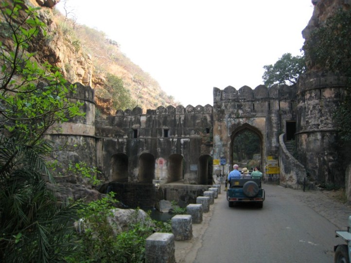 Ranthambore national park tiger safari India