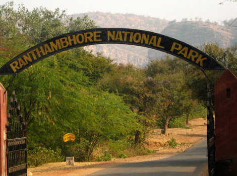 ranthambore_national_park_India