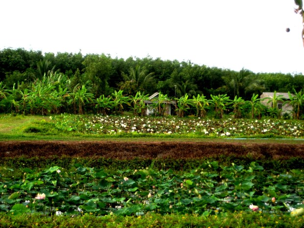 Mai Khao beach Phuket Thailand bike tour Barefoot Luxe