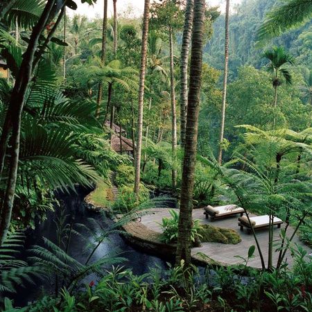 20642740ff445b1e214c9dc00bd03cd4[1], www.BarefootLuxe.net