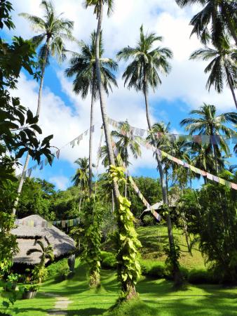 Tamarind Springs Forest Spa Koh Samui Thailand, www.BarefootLuxe.net