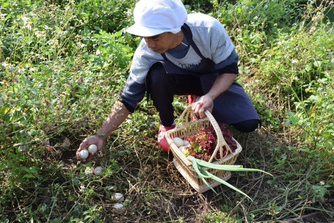 eggs from Museflower Retreat & Spa Chiang Rai 's on-site organic farm