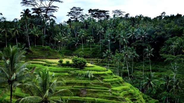 Four Seasons Sayan Bali, best luxury spa resorts Asia, www.BarefootLuxe.net