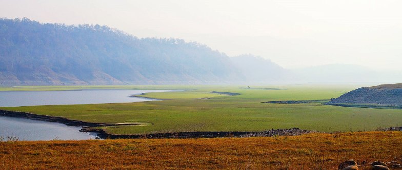 Corbett National Park India, www.BarefootLuxe.net 