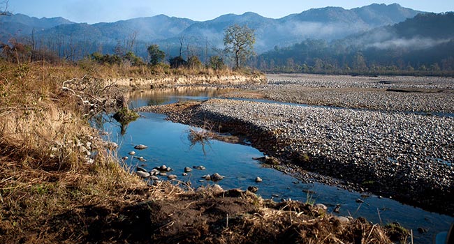 Corbett National Park India, www.BarefootLuxe.net 