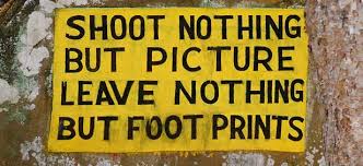  Corbett National Park India, www.BarefootLuxe.net 