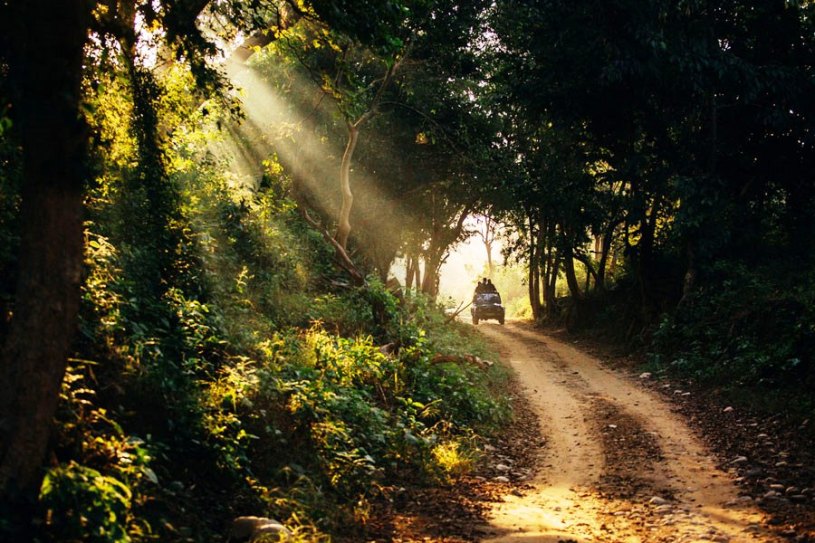 Corbett National Park India, www.BarefootLuxe.net 