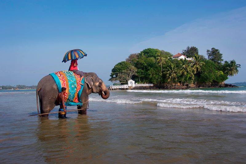 11001939_950442854974387_4059929434311662948_n1