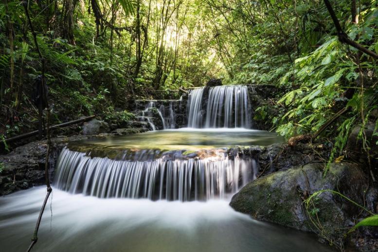 Alassari Plantation Bali, luxury eco resort & spa Bali, www.BarefootLuxe.net