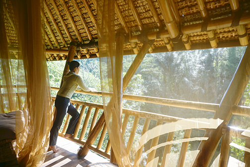 Alassari Plantation Bali, luxury eco resort & spa Bali, www.BarefootLuxe.net