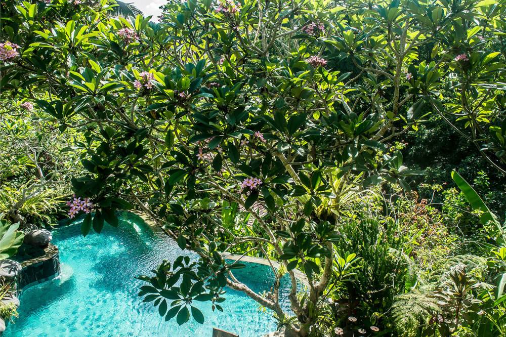 Villa Madu Ubud Bali, private villa Bali, www.BarefootLuxe.net