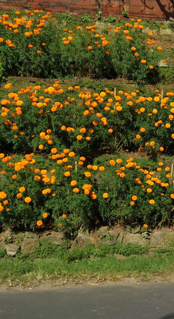 Villa Madu Ubud Bali, private villa Bali, www.BarefootLuxe.net