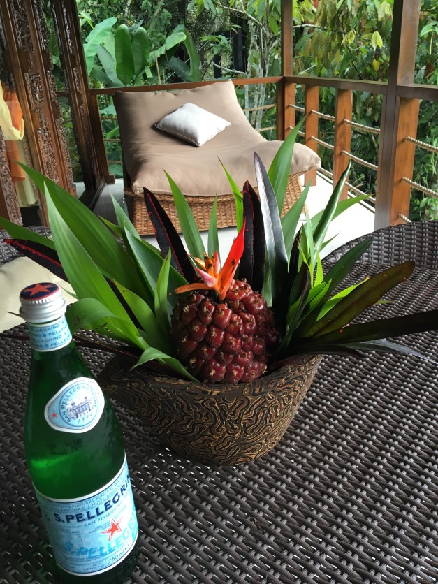 Alassari Plantation Bali, luxury eco resort & spa Bali, www.BarefootLuxe.net