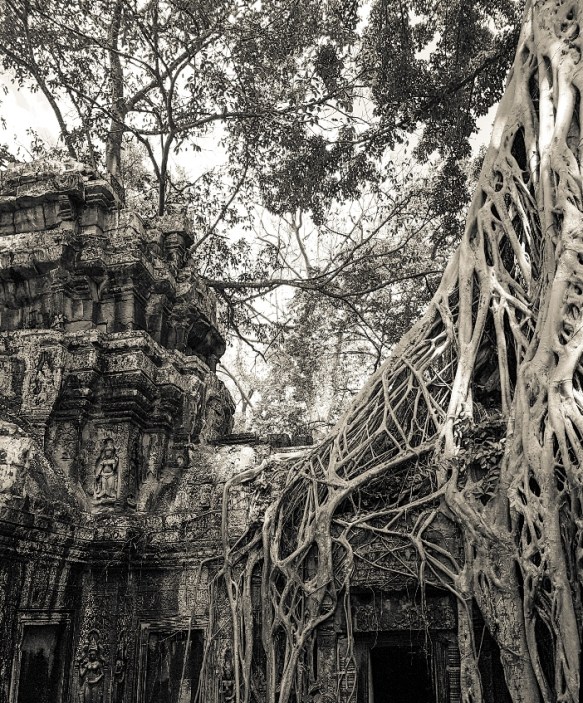 Shinta Mani Club Siem Reap Angkor Wat Cambodia, best boutique hotels Asia, www.BarefootLuxe.net