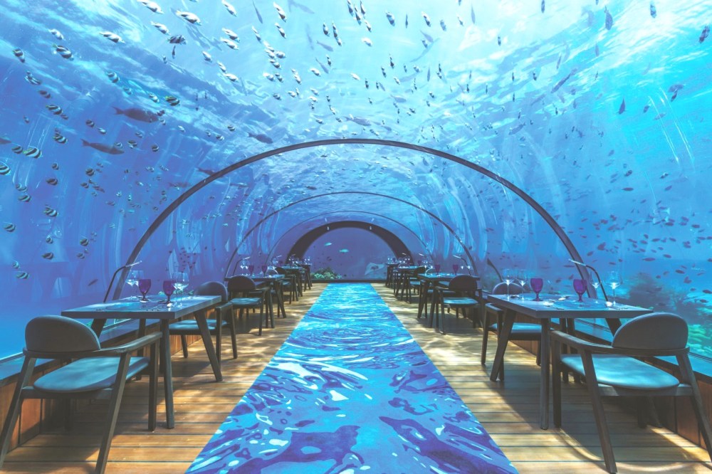 Hurawalhi Resort Maldives, best romantic luxury resort Maldives, best luxury underwater restaurant, www.BarefootLuxe.net
