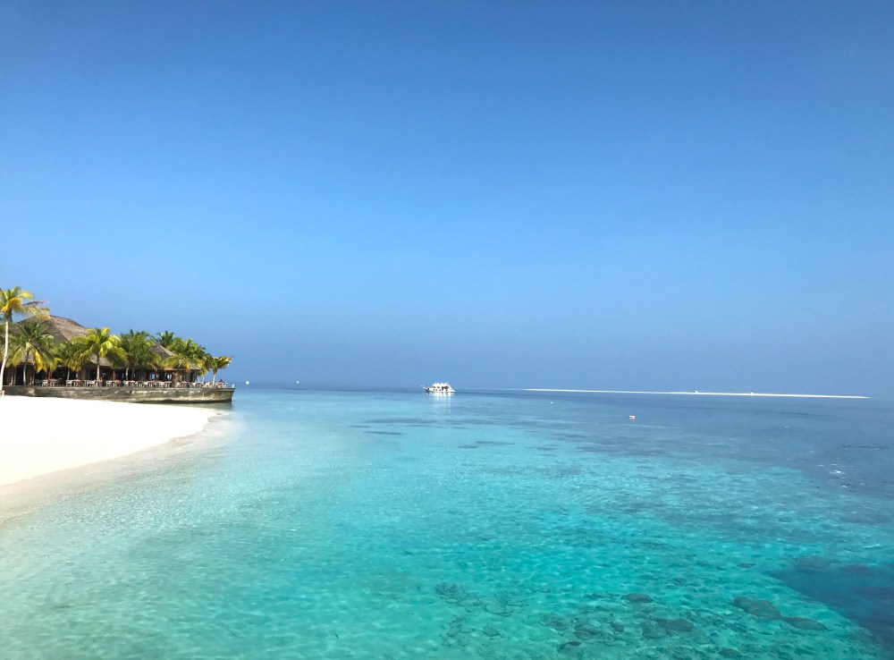 Hurawalhi Resort Maldives, best romantic luxury resort Maldives, best luxury underwater restaurant, www.BarefootLuxe.net